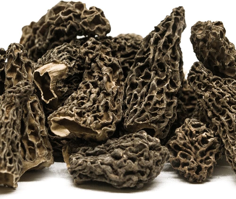 Black Morel Mushroom Gourmet Edible Fungi - for planting in home garden